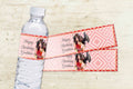 Greek Goddess Water Bottle Wrappers | Printable Party Decor

